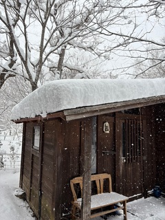 2月の雪②.jpg