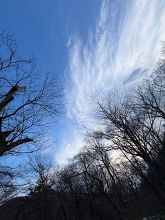 今朝の空.jpg
